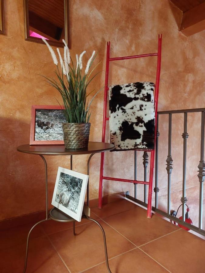 El Atico De Mijares Guest House ภายนอก รูปภาพ