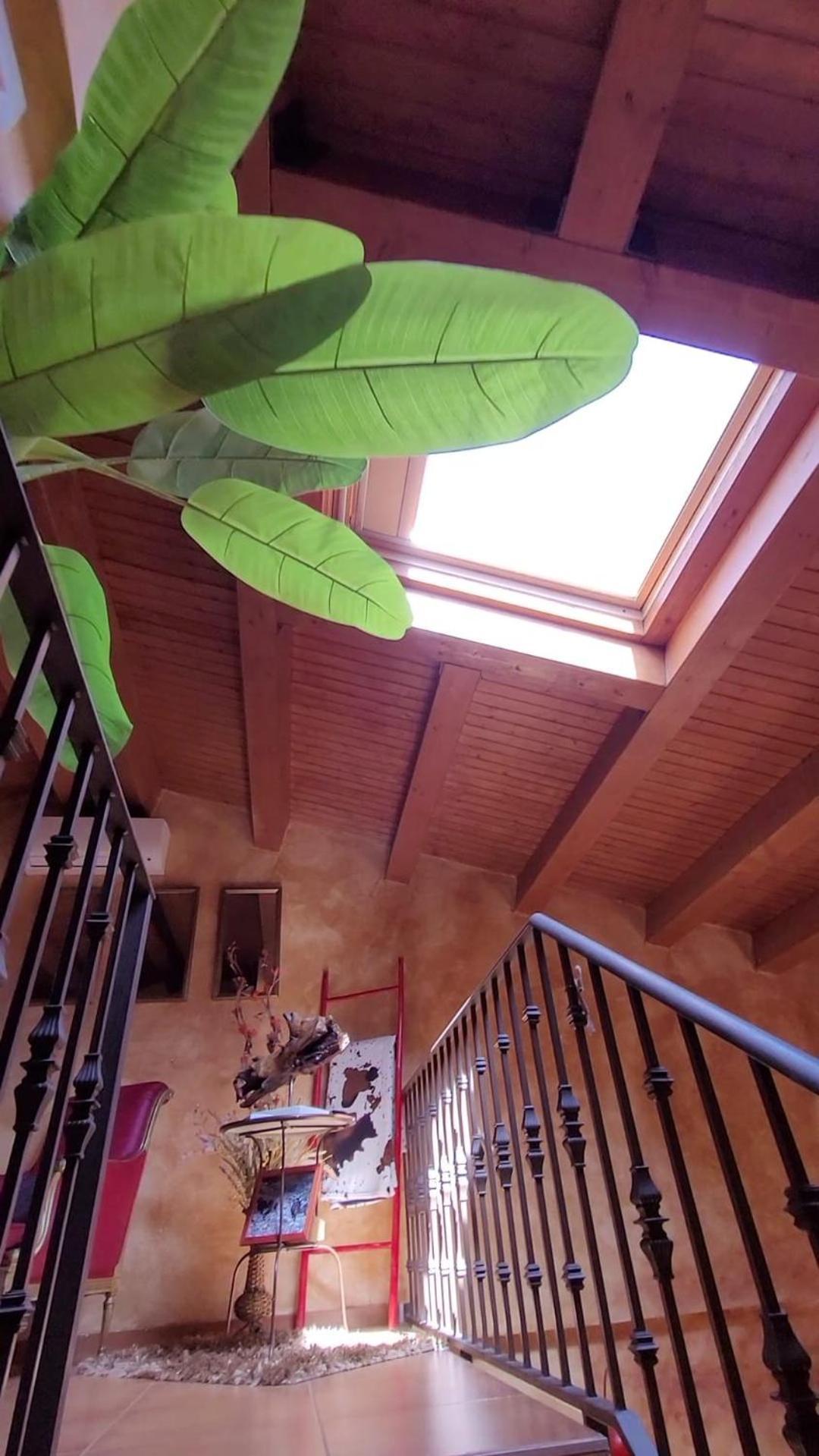 El Atico De Mijares Guest House ห้อง รูปภาพ
